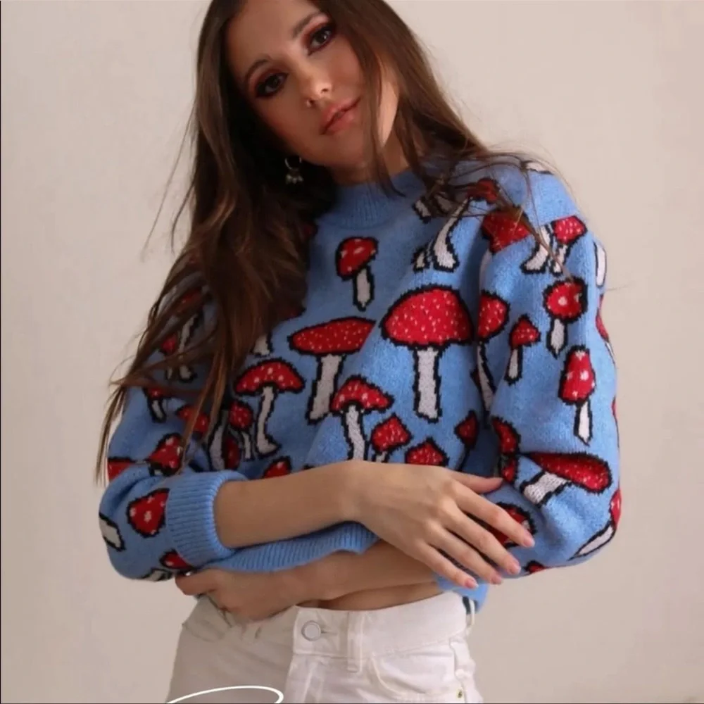 Zara mushroom sweater